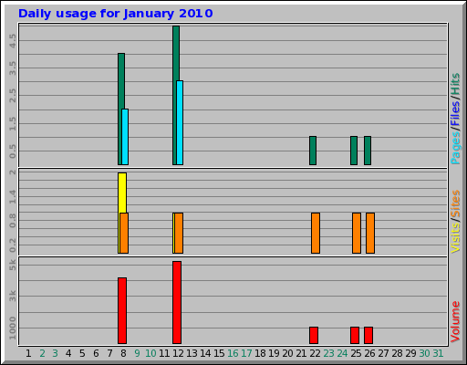 Daily usage for January 2010